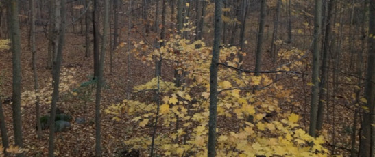 160BA7E0-26A3-4028-8200-ED7048C9D781