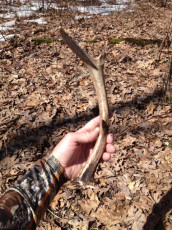 16894917-27D4-4A66-8FFF-CD6FE3E8C707