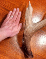 1824A7AC-27A8-4368-92B8-59EBA5B9A0E8