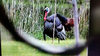 199D6253-D2D9-4C63-A537-1A29B71C9C4F