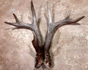 1D31F13A-36FA-4CBF-BBED-7CFD37009C1E