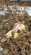 1D7ECE40-352D-486A-8478-B0060E8E2B9F