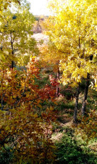 1E329D7A-36C5-4161-9B39-068CE7965087