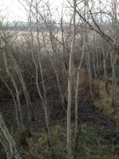 1F248931-76BC-4CFC-9BCE-2A79FB69E0BF