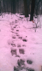 1F6C484A-710A-4EF4-B267-F5E716DC7D7B