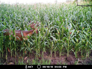 1F876730-2DF2-4E21-B515-606621948F34