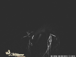 21DBEDAF-D8B8-49BC-A2CA-7E77A91D0AF9