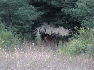 21F0742D-AC97-4D43-BC62-C9F2A8345094