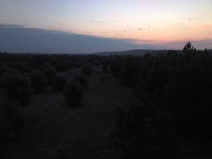 22C29A6D-F09E-4D4E-A46C-631C13F5081F