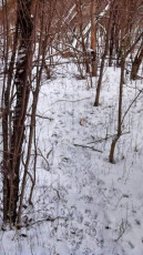 258E33E2-85ED-4B0B-95F7-9CD61FB5CB2D