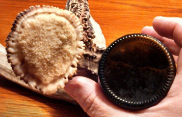 2655CFC8-E0DC-465F-8C9E-7B95DA9B44A9