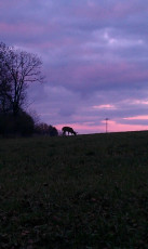 269411E4-0371-49C2-8C18-6C2D278BF4A2