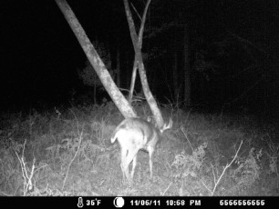 290A08DC-863A-45E4-B30B-87C054BB47EB