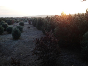 2D208932-5864-4D61-9424-1673F552A10B