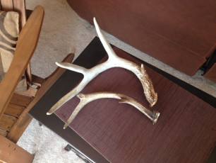 2E1F7905-A327-4B9F-9045-8B832377FF35