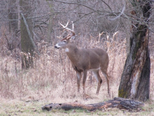 2E478134-573F-4D49-93C3-584E28D0B8CC