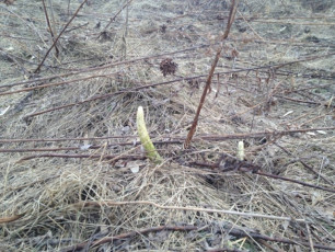 2E9CC673-4398-419D-95F7-E2A3B19DCE7F