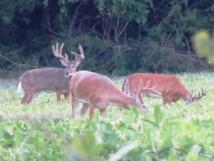 2F44A953-150F-48A1-ABBB-07D37E464943