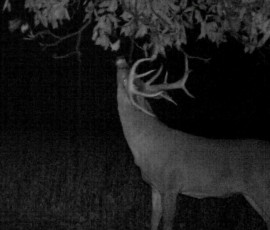 3041536C-8388-48D1-A610-E8BC87A507DC