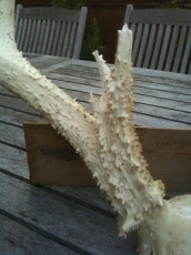 308396F2-2BE8-4850-AD70-09BBA44C9BF9