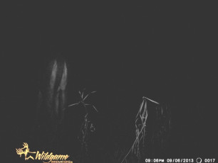 3087B23F-093C-44DA-A4AE-6BEBC77E7DF3