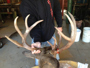 31182F4D-0223-4F0F-BA68-611542B41318