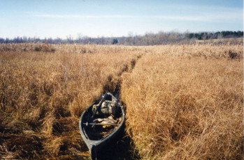 324DDEAB-4804-4219-93E1-1B88CDB7D103