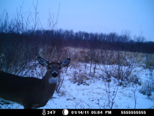 359CC8F9-87D6-4778-BC35-69B89E26F151