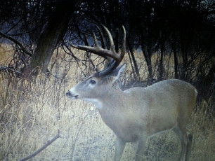 367D6810-6F72-41A8-94C7-A5AD0B2B08B0