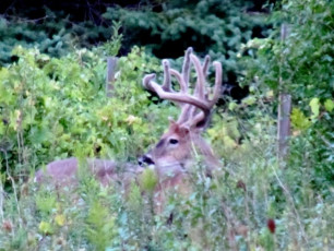 36B7535B-6002-4A6C-99D9-BE3D58770D29