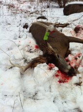 3715A50B-8BC4-4588-87EC-5E25FE5C9056