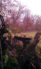 37383317-A531-4CB1-8DA8-74F02E36A0D2