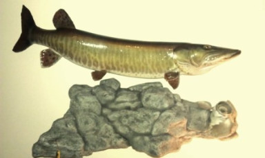 386C13C3-36DA-4401-BFB5-B7C416D99FC4