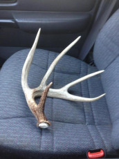 38A9A087-C28C-4884-B307-6A9C58233778