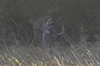 39270B1D-8EB3-41F0-99A1-2608FCAE04B8