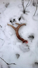 3AC2F808-8B4D-4001-9AD6-1DD11AE27134