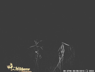 3E89C41C-80CB-4D45-AEAD-F7046D691955