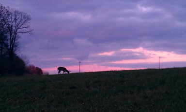 3EFB8433-A4DC-4716-BFF3-E5181A631074