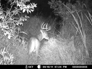 408A0F0F-D38D-497A-8443-4A0AD0AD33DB