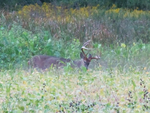 435FAAD2-E7B7-4E50-8375-BC86A7B2419B