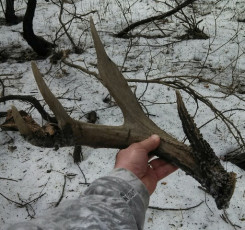 43BC08DD-1420-499C-84A1-C180318A757B