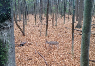 451A7E70-82B0-485F-8FA0-3C24FDAAAAE7