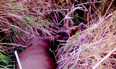 4604A14A-5727-4B80-8BD5-4BE46B71D38C