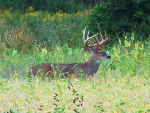 46AA7AFC-8EF8-4889-880D-76030839DA68