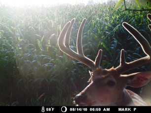 47C6AFE5-7C94-4D86-AE75-0B01A8E55CF6