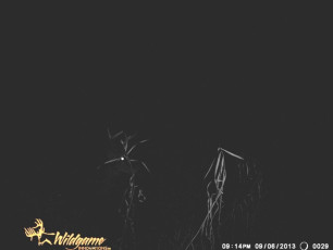 4893C9E0-B232-49C8-8B16-8C4226721248