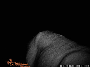 48DAF895-D00C-4A88-85D5-F5CC68318FA6