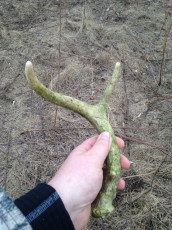 4999D8AF-0E1B-4F72-83B9-9A70B59B3685