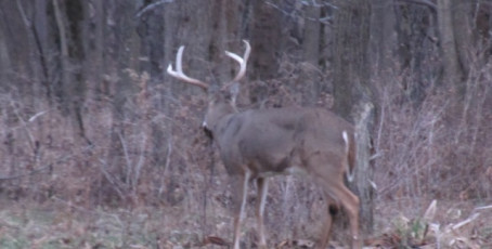 49CE9323-64B3-40A8-8DC4-28C61870A6AC