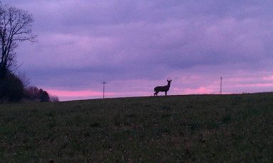 4B914CC2-01F3-4EB8-945F-2E4610A7F741